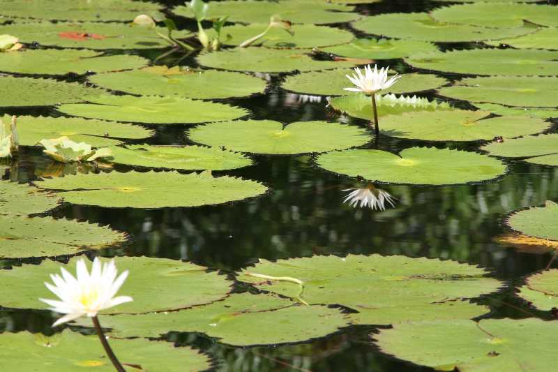 Mexico & Guatemala 2010 - 0960